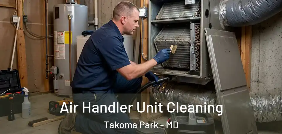  Air Handler Unit Cleaning Takoma Park - MD