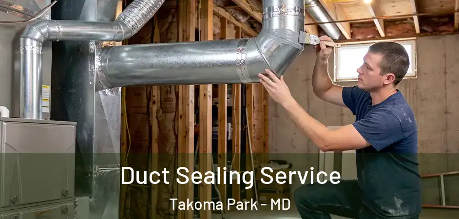 Duct Sealing Service Takoma Park - MD