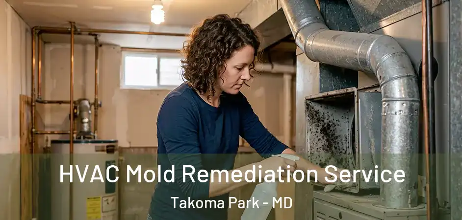  HVAC Mold Remediation Service Takoma Park - MD