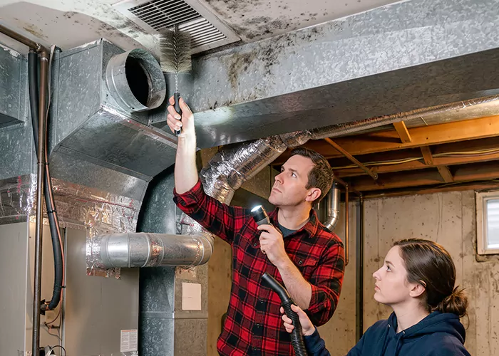 Premier HVAC Mold Remediation Company in Takoma Park